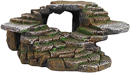 The Ultimate Guide to Lizard Tank Accessories: Enhancing Your Reptile’s Habitat