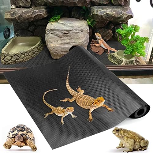 Liven up your lizard’s habitat with these must-have tank accessories